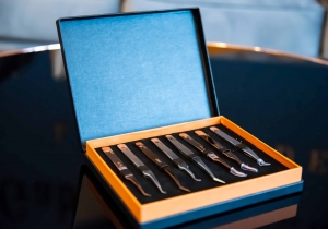 Diversificarea pensetelor